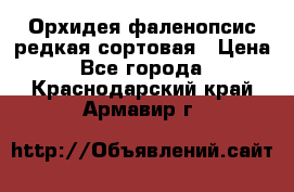 Орхидея фаленопсис редкая сортовая › Цена ­ 800 - Все города  »    . Краснодарский край,Армавир г.